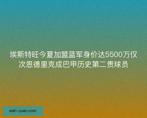 埃斯特旺今夏加盟蓝军身价达5500万仅次恩德里克成巴甲历史第二贵球员