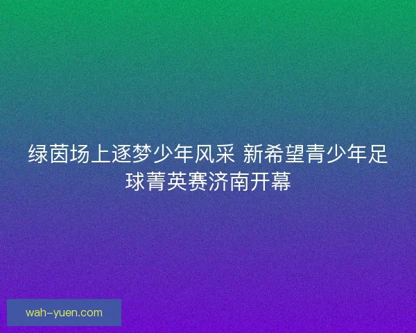绿茵场上逐梦少年风采 新希望青少年足球菁英赛济南开幕